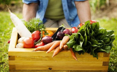 不被限制的孩子，飲食更自律 日用百貨中的教育智慧