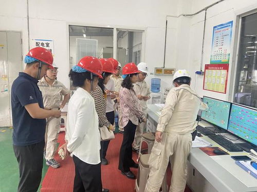 四川省市場監(jiān)管局深入廣元市開展食品生產(chǎn)企業(yè)體系建設(shè)專項(xiàng)檢查，筑牢食品安全防線