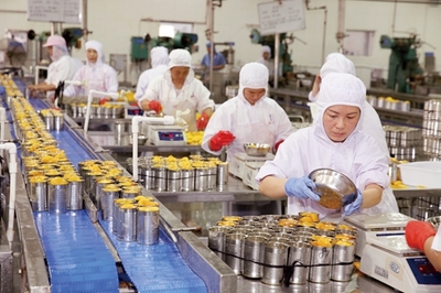 淮北貝寶食品全力投入黃桃罐頭生產(chǎn)，保障市場供應(yīng)與品質(zhì)